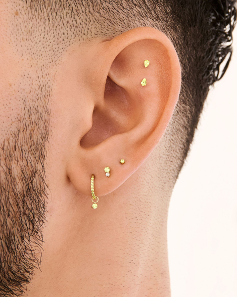 snakebite helix Courtesy of charlesfin